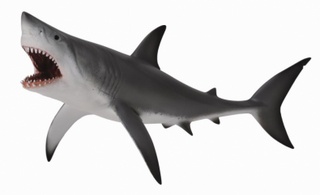 [9652080] Mô hình động vật: Cá Mập Trắng