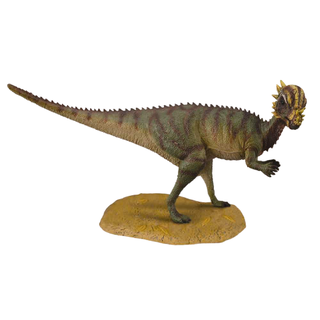 [9654090] Mô hình động vật: Khủng Long Pachycephalosaurus 