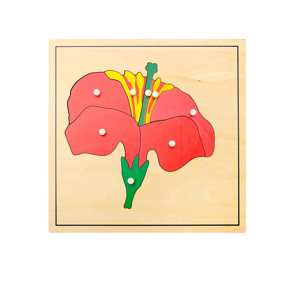 [0610200] Ghép hình thực vật: Hoa