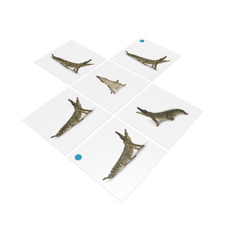 [0181090] Bộ thẻ giáo cụ: Cá Sấu