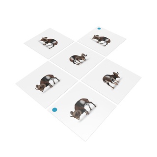 [0181360] Bộ thẻ giáo cụ: Cừu Núi