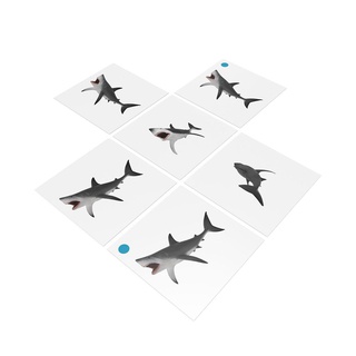 [0182080] Bộ thẻ giáo cụ: Cá Mập Trắng
