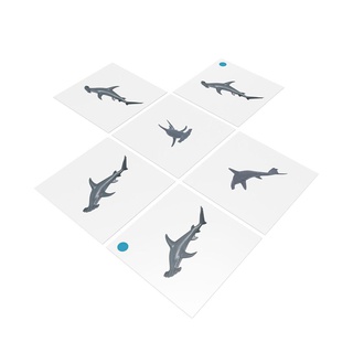 [0182090] Bộ thẻ giáo cụ: Cá Mập Búa