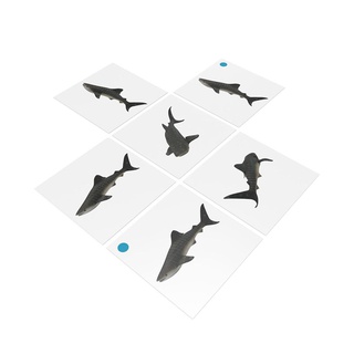 [0182100] Bộ thẻ giáo cụ: Cá Mập Voi
