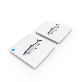 [0188060] Bộ thẻ giáo cụ: Ghép cặp Cá