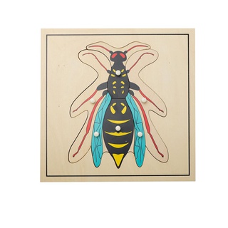 [0640100] Ghép hình động vật: Ong