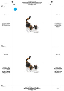 [0180030F] Bộ thẻ giáo cụ: Mèo (Sản phẩm số)