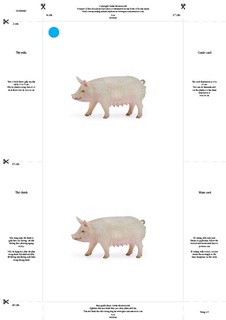 [0180040F] Bộ thẻ giáo cụ: Lợn mẹ (Sản phẩm số)