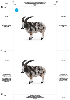 [0180160F] Bộ thẻ giáo cụ: Cừu bố (Sản phẩm số)