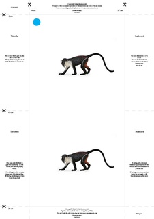 [0181010F] Bộ thẻ giáo cụ: Khỉ (Sản phẩm số)