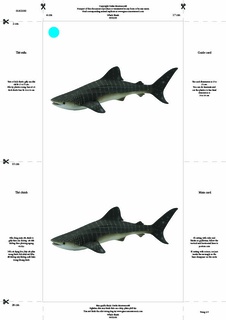 [0182100F] Bộ thẻ giáo cụ: Cá Mập Voi (Sản phẩm số)