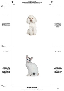 [0189020F] Bộ thẻ giáo cụ: Phân loại Chó - Mèo (Sản phẩm số)