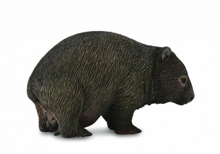 [9651710] Mô hình động vật: Gấu túi mũi trần