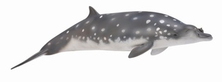 [9652190] Mô hình thu nhỏ: Cá voi mõm khoằm Blainville