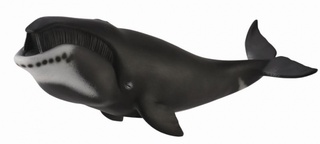 [9652210] Mô hình thu nhỏ: Cá voi đầu cong