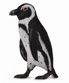 [9652240] Mô hình động vật: Chim cánh cụt Nam Phi