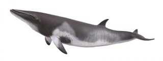 [9652300] Mô hình động vật: Cá voi Minke