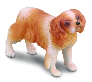 [9656080] Mô hình động vật: Chó Cavalier King Charles Spaniel